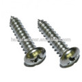 DIN7981 philips pan head self tapping screw, pan head screw with philips, cross pan head screw